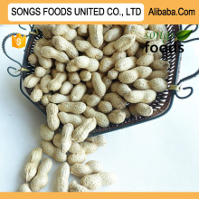 Alibaba Best Peanuts , Cheap Price